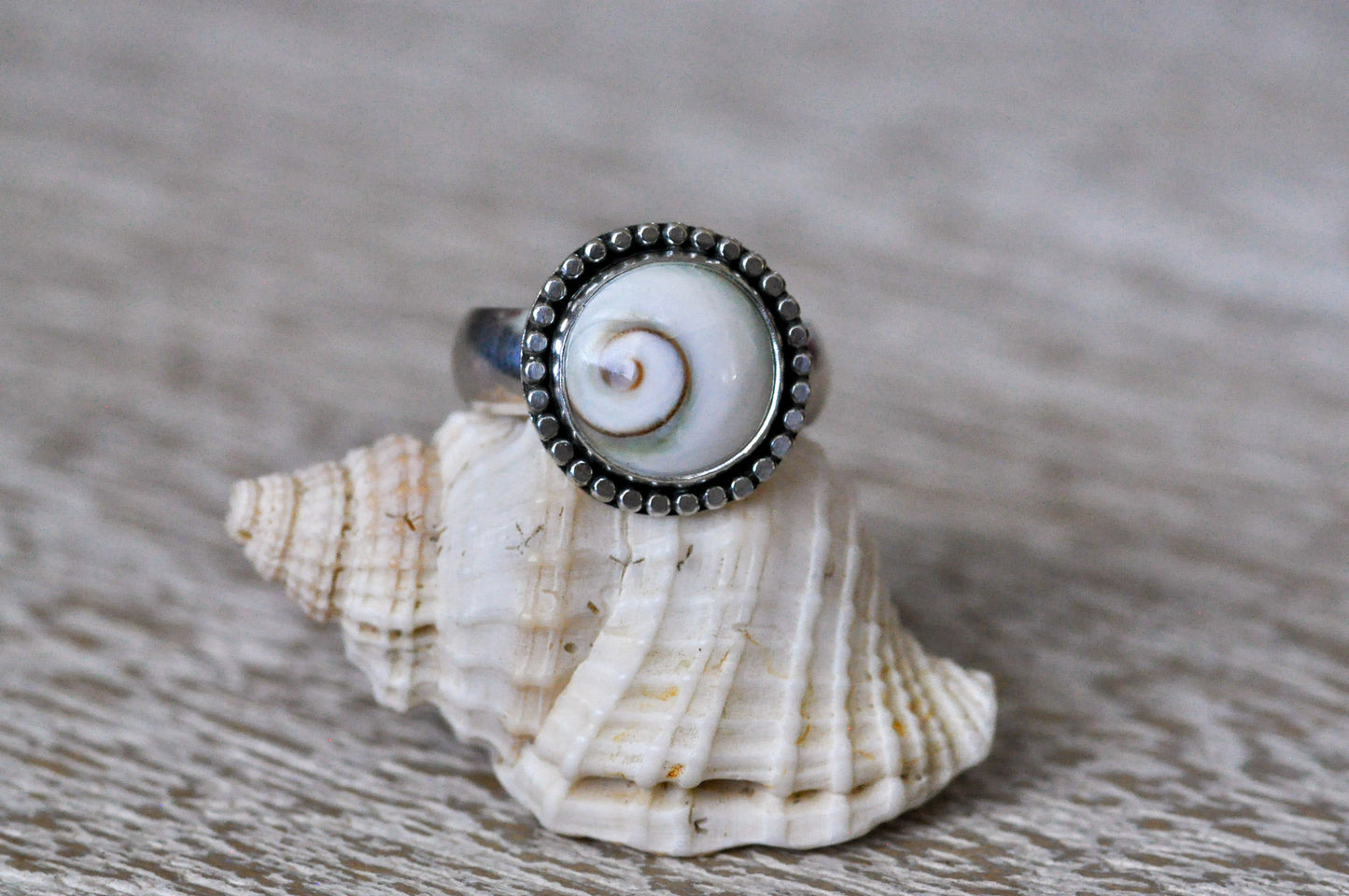 Spiral Shell Ring Size 7