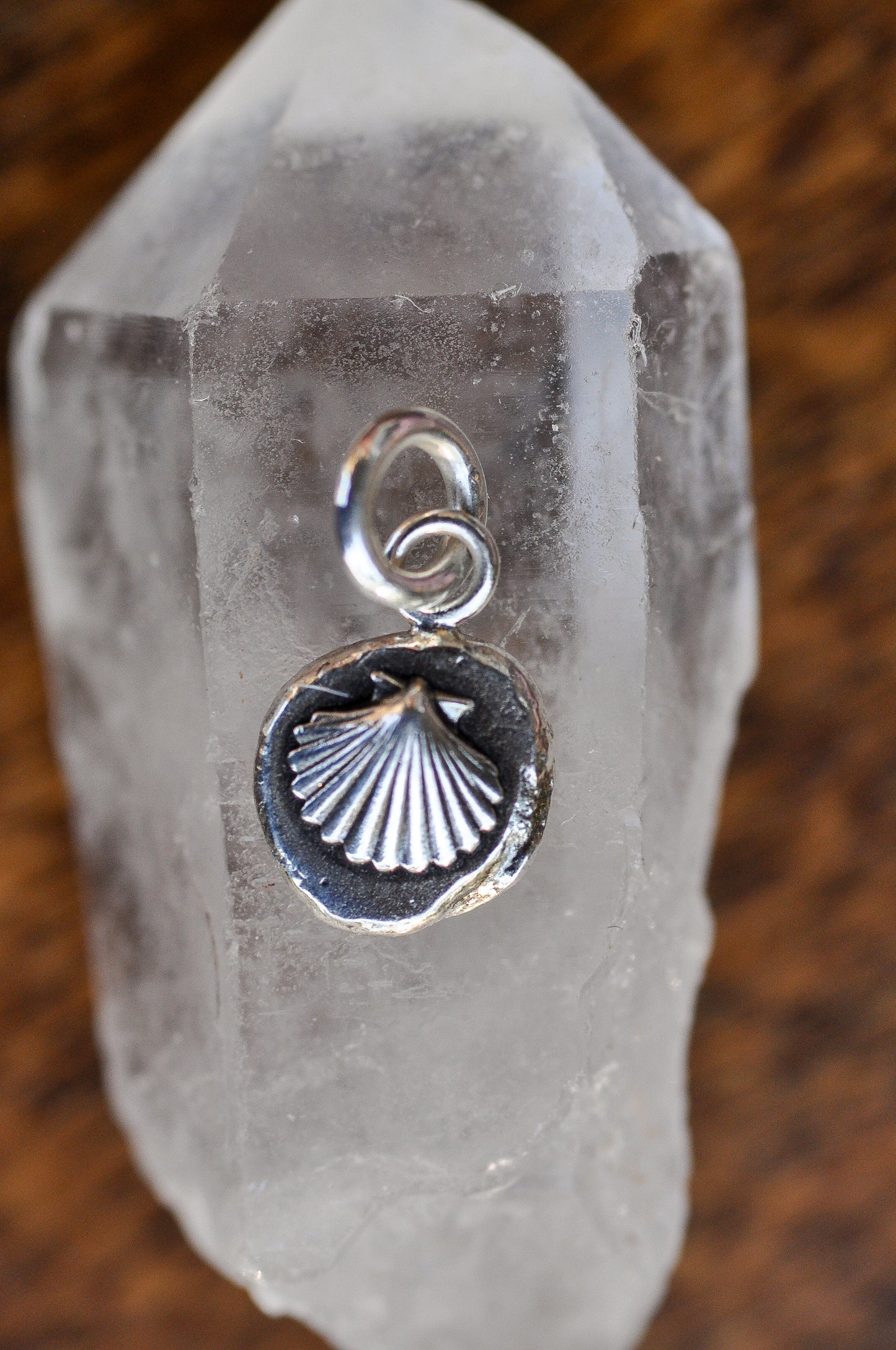 Seashell Charm