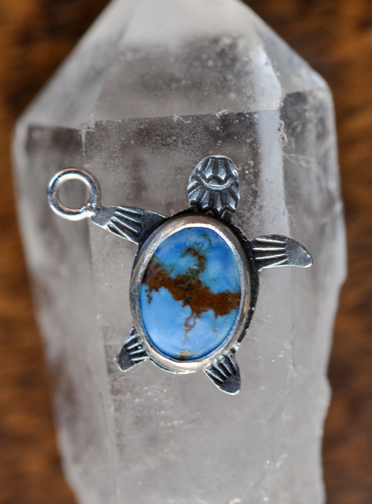 Lavender Turquoise Turtle