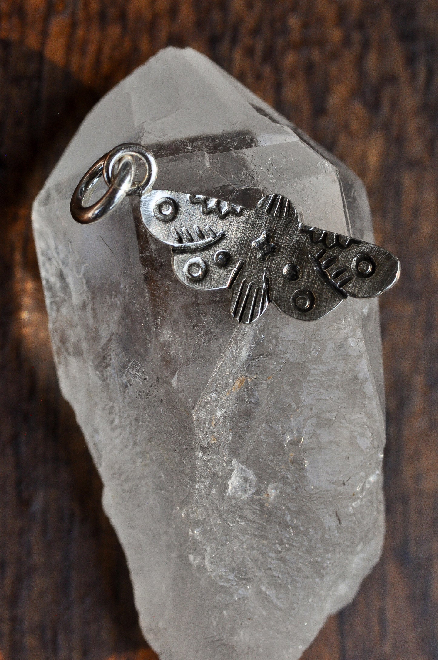 Stamped Moth