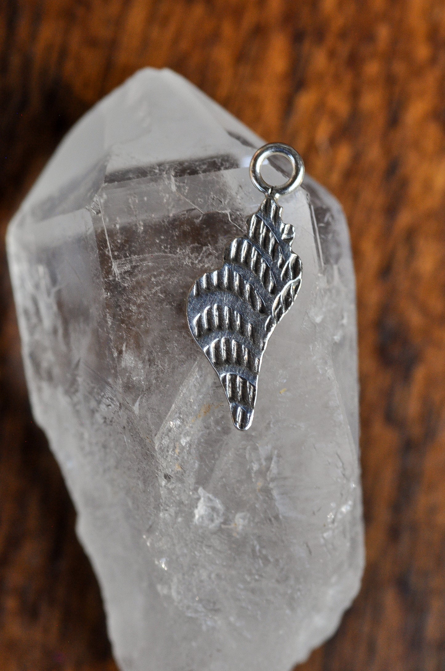 Stamped Seashell