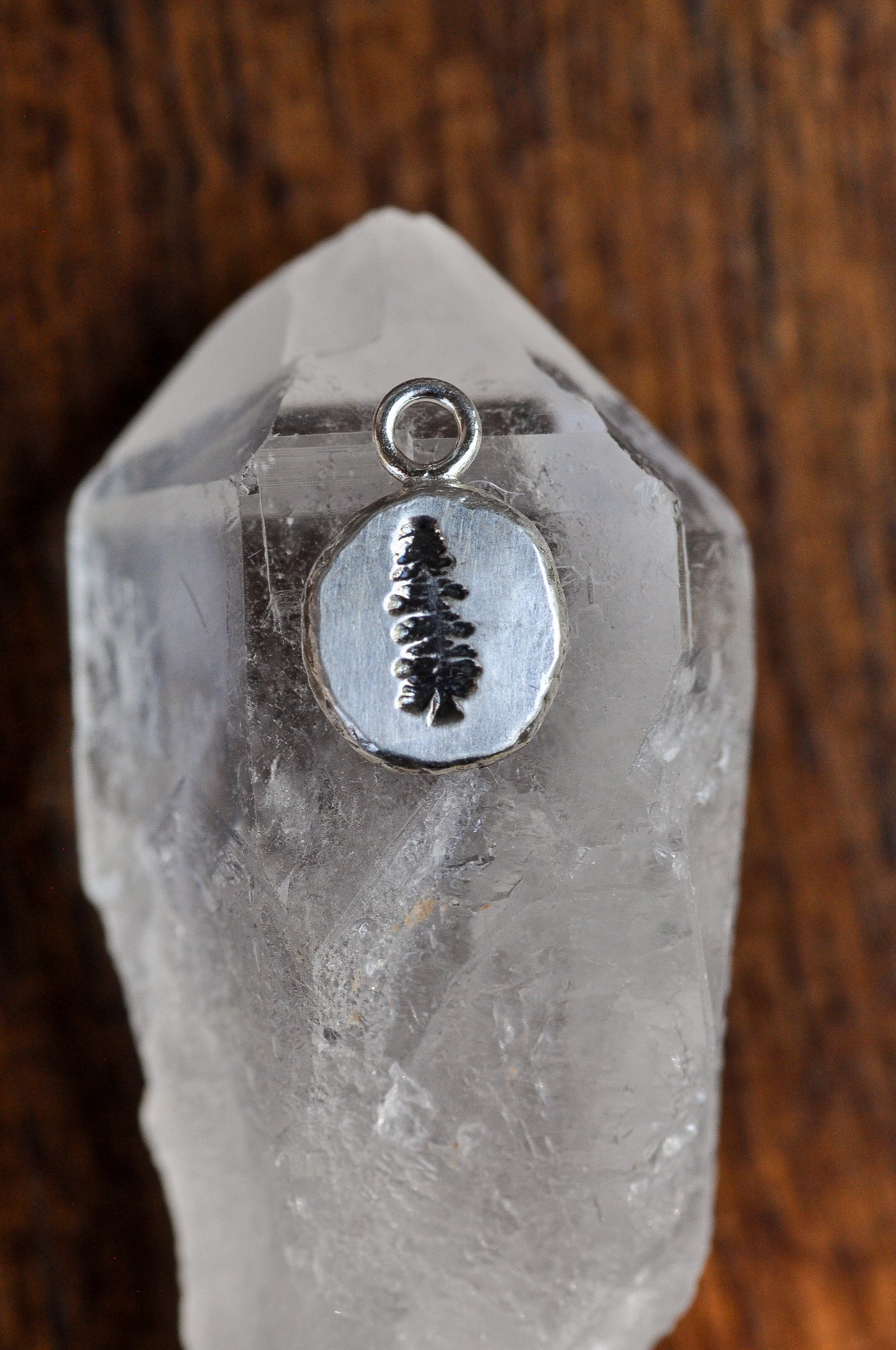 Pine Tree