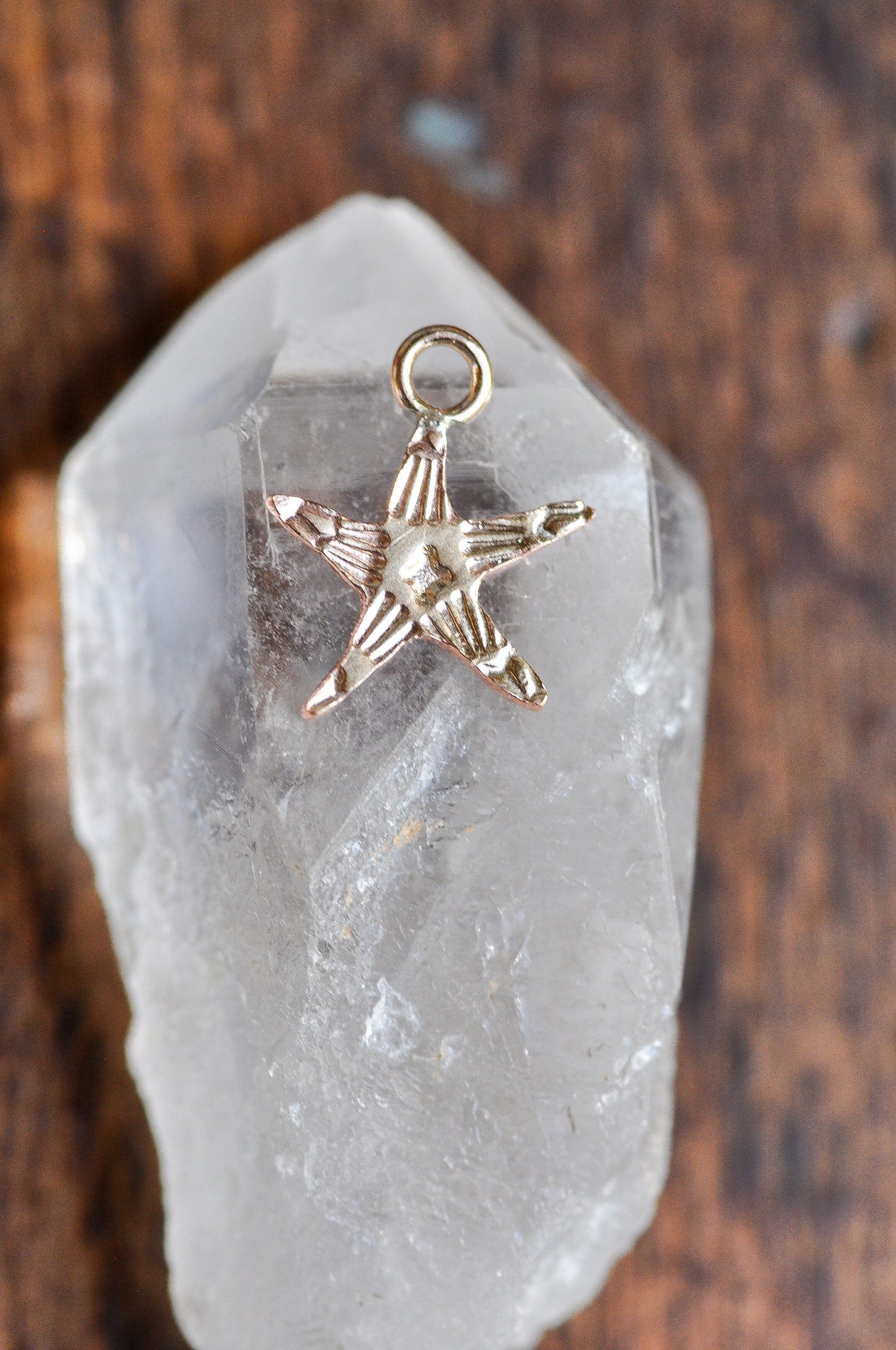 Stamped Starfish