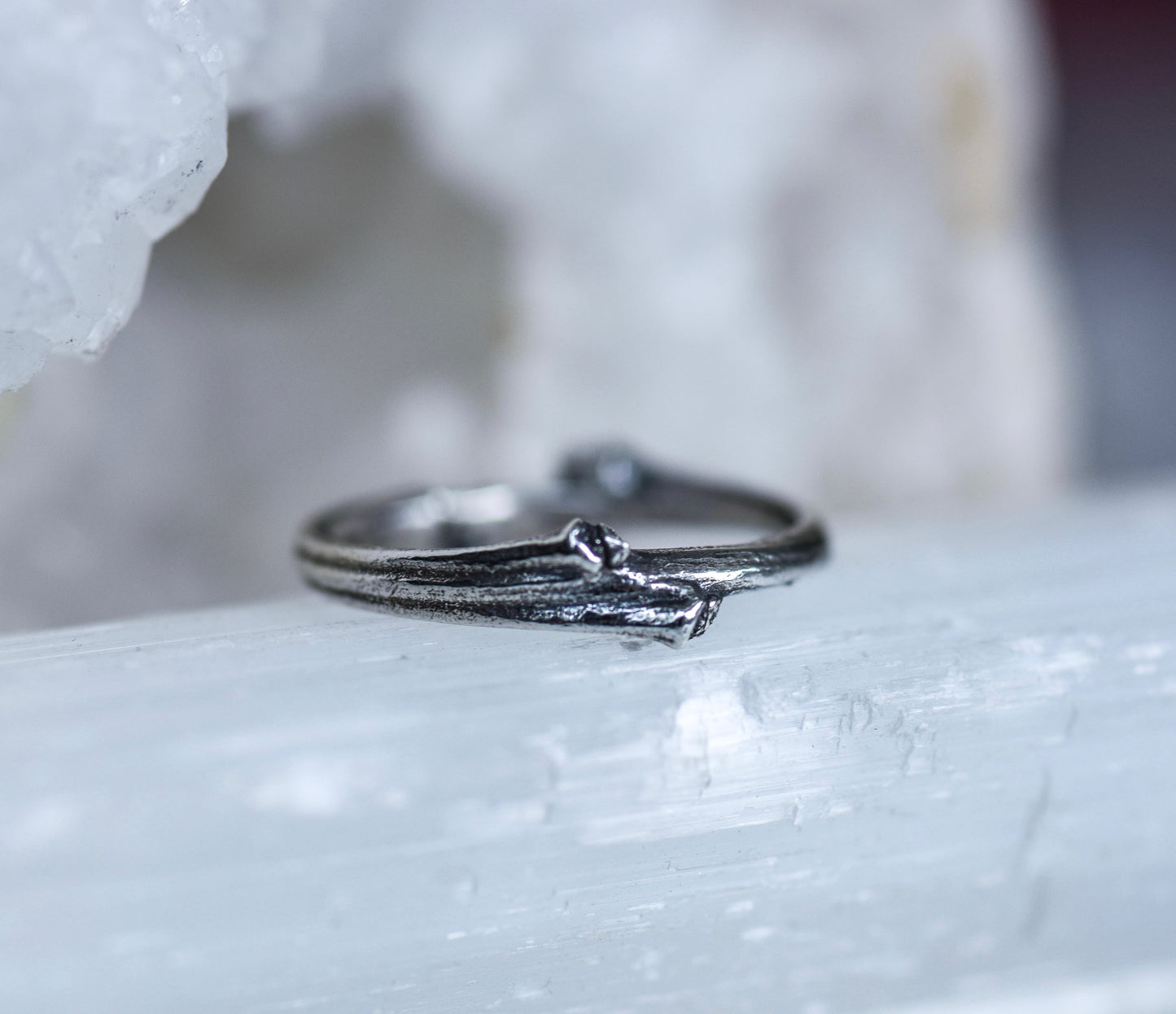 Twig Band