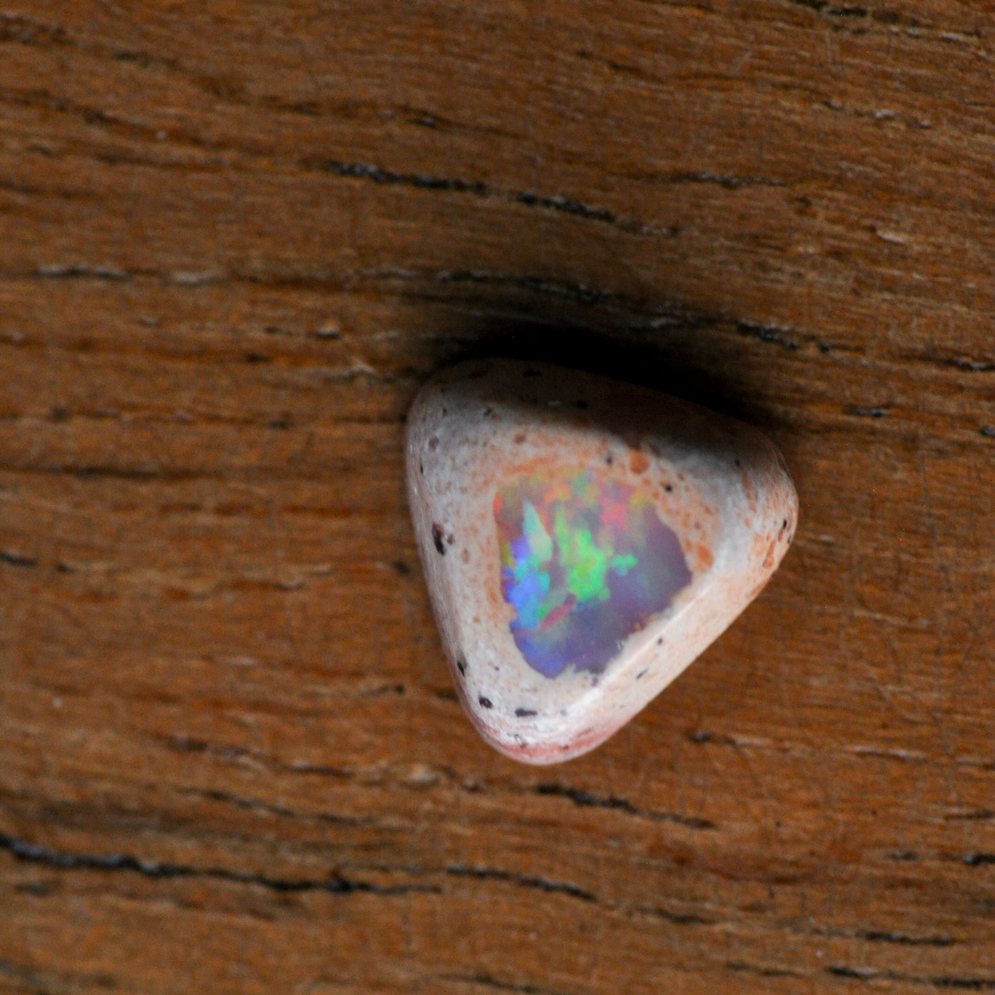 Mexican Opal