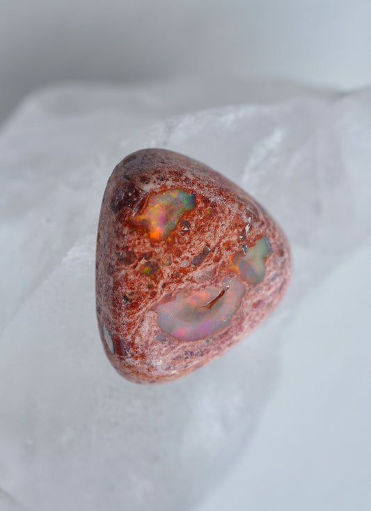 Mexican Opal