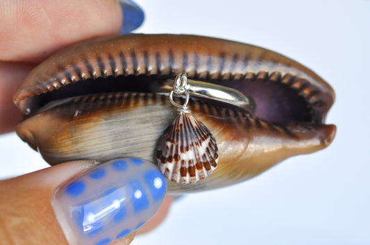 Seashell Charm Ring Size 6