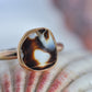 Seashell Ring Size 7.5