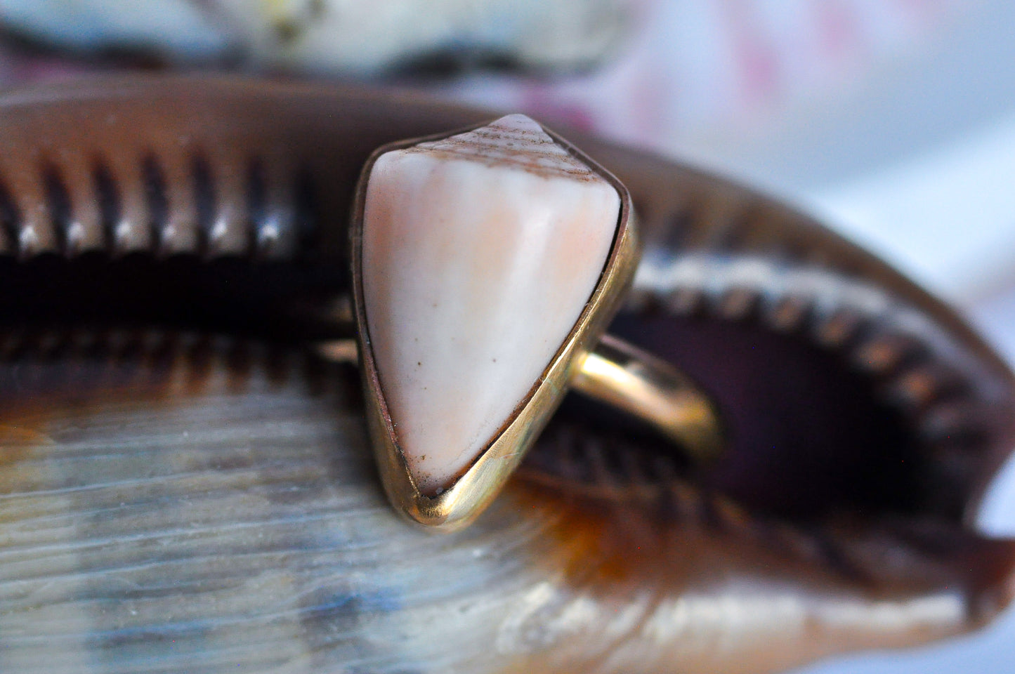 Seashell Ring Size 6.5