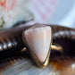 Seashell Ring Size 6.5