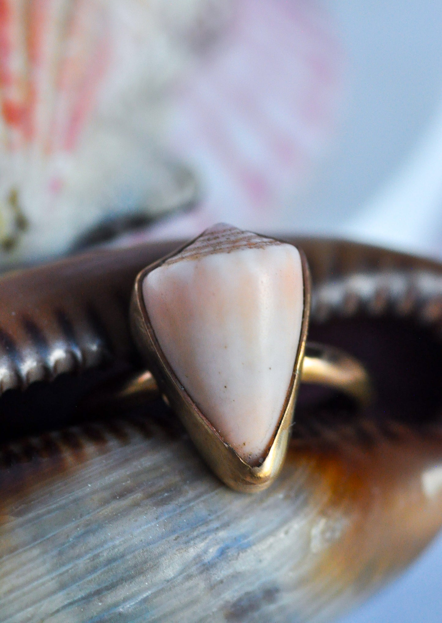 Seashell Ring Size 6.5