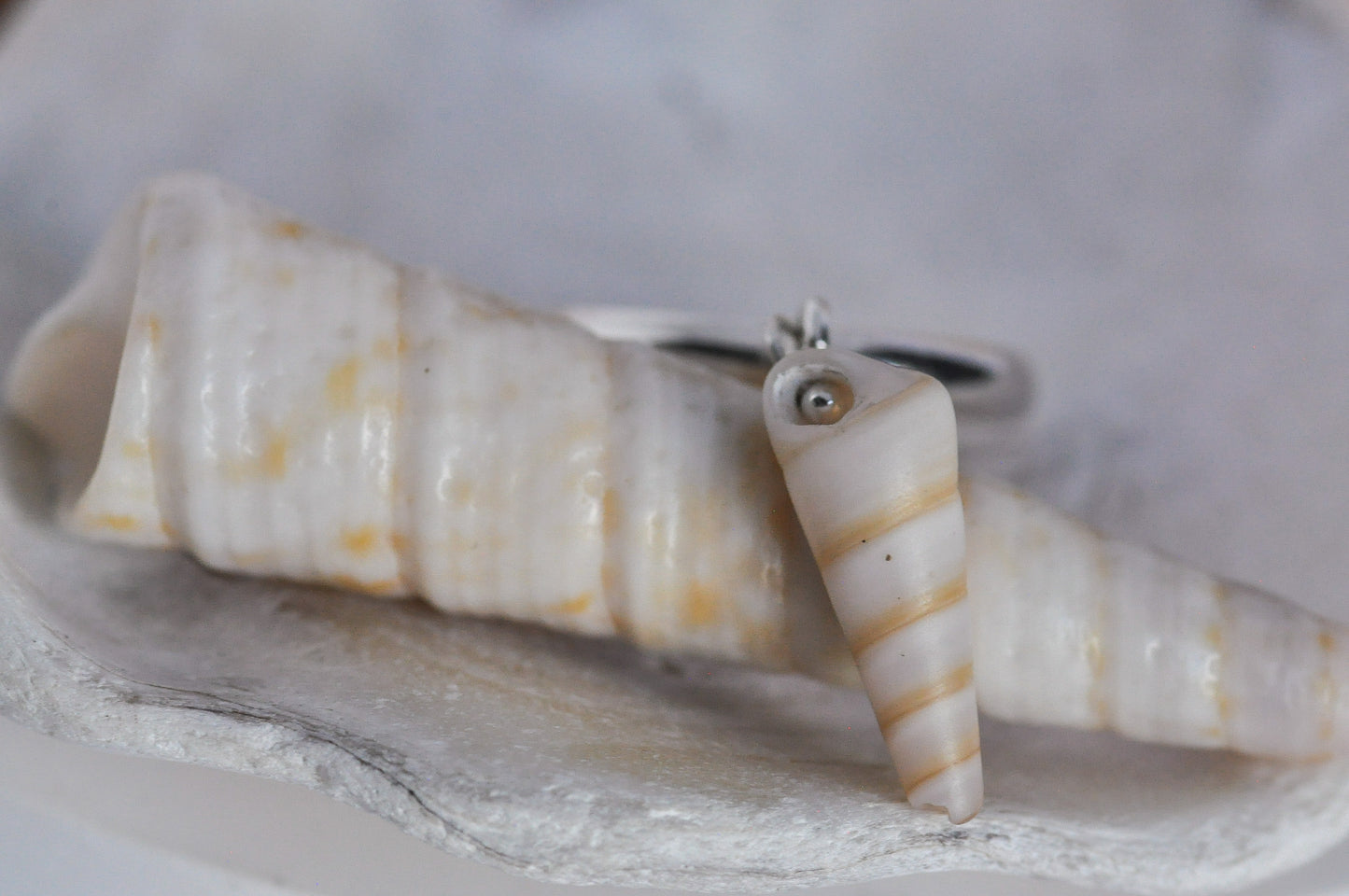 Seashell Charm Ring Size 7
