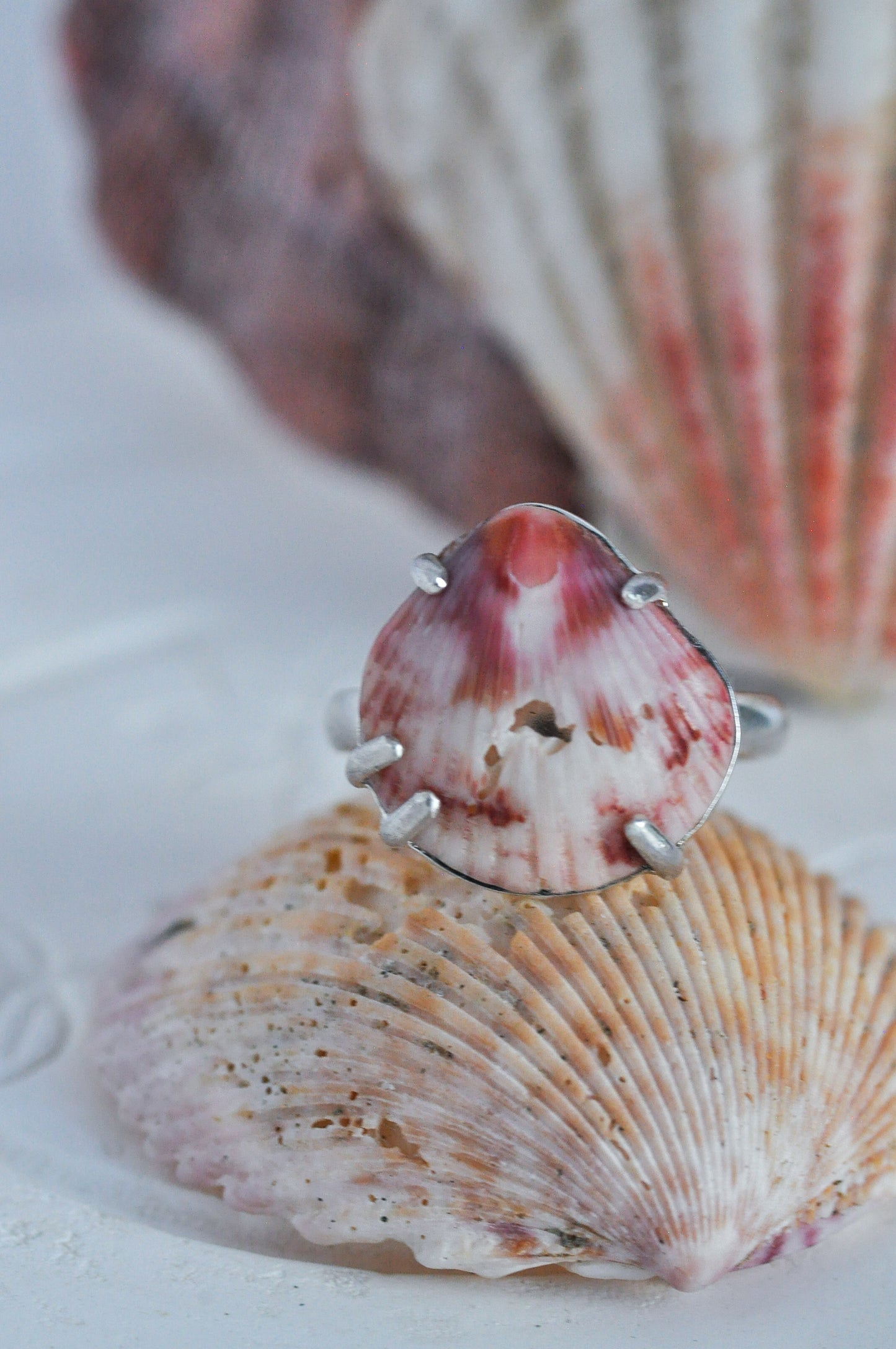 Pink Shell Ring