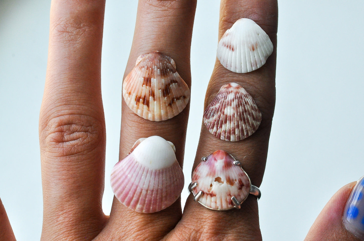 Pink Shell Ring