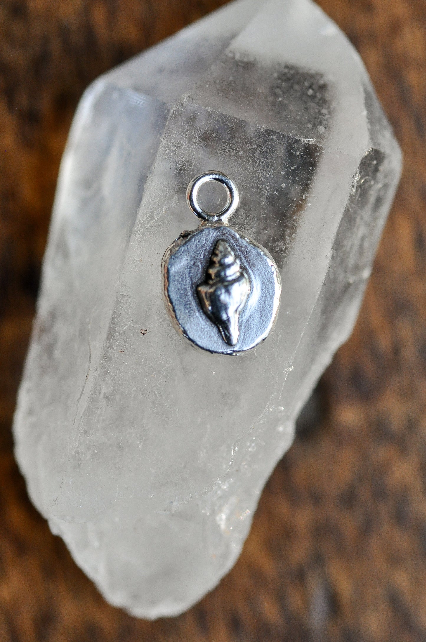 Seashell Charm