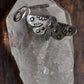 Stamped Moth