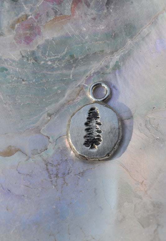 Pine Tree