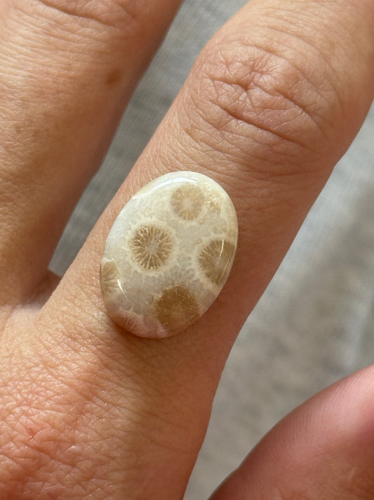 Custom Listing for Morgan