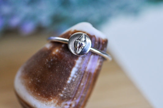 Seashell Ring