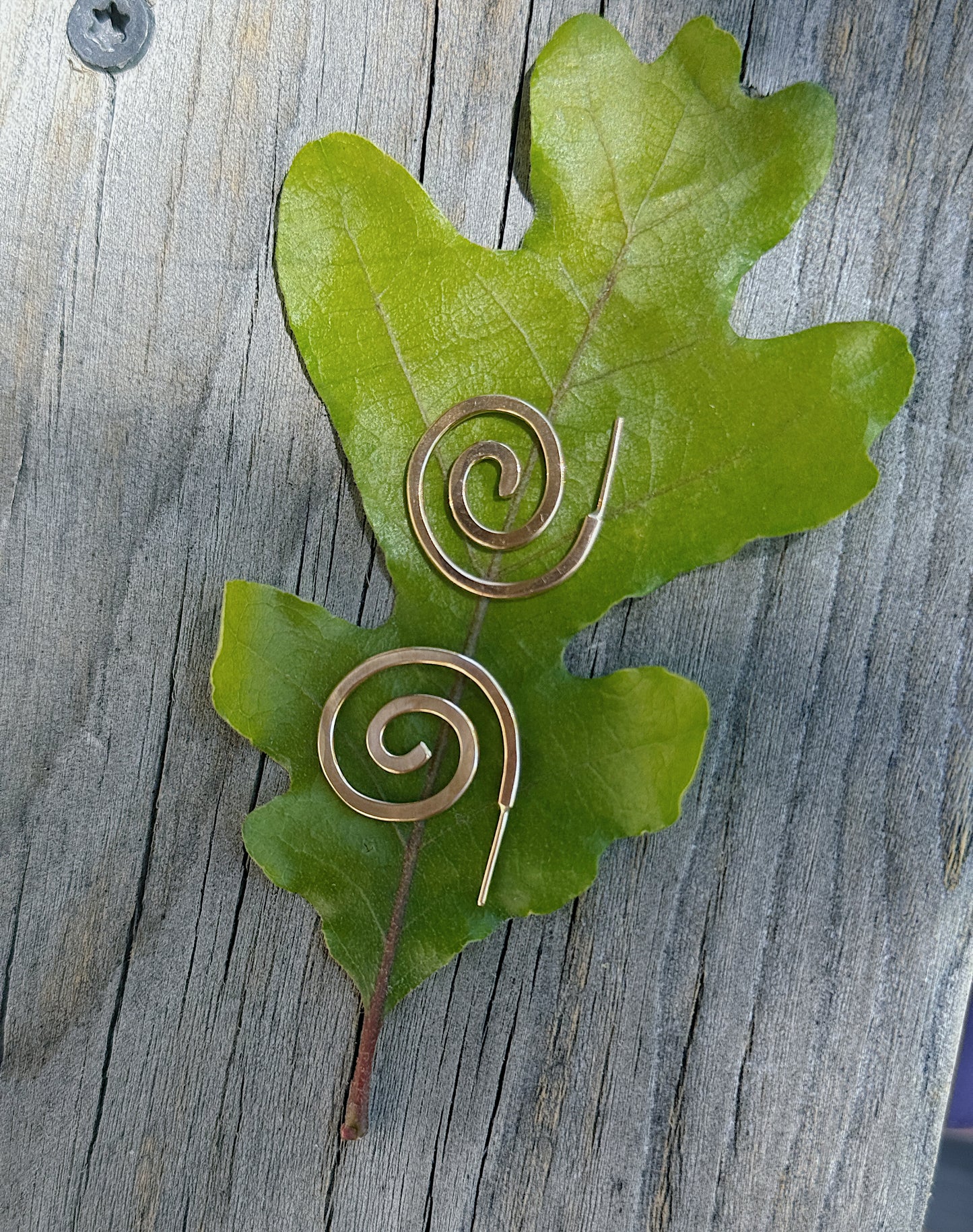 Gold Spiral Hoops